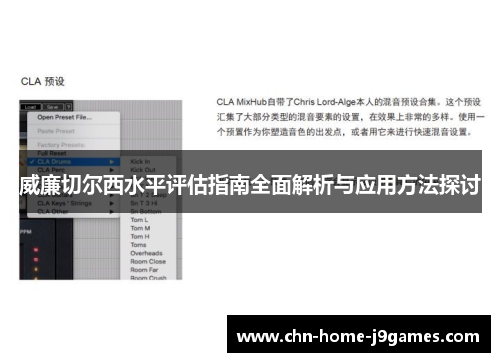 威廉切尔西水平评估指南全面解析与应用方法探讨