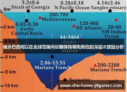 揭示巴西何以在全球范围内长期保持领先地位的深层次原因分析