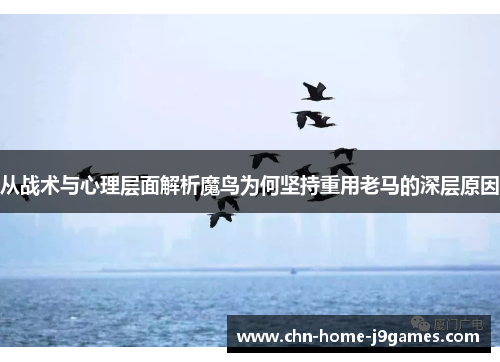 从战术与心理层面解析魔鸟为何坚持重用老马的深层原因