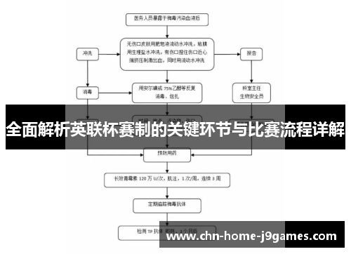 全面解析英联杯赛制的关键环节与比赛流程详解